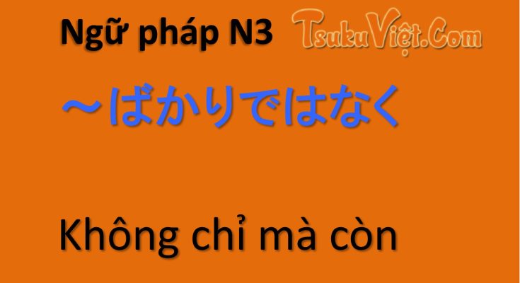 Ngữ pháp N3 ～ばかりではなく… Không chỉ mà còn