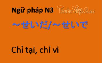 Ngữ pháp N3 ～せいだ/～せいで Chỉ tại, chỉ vì