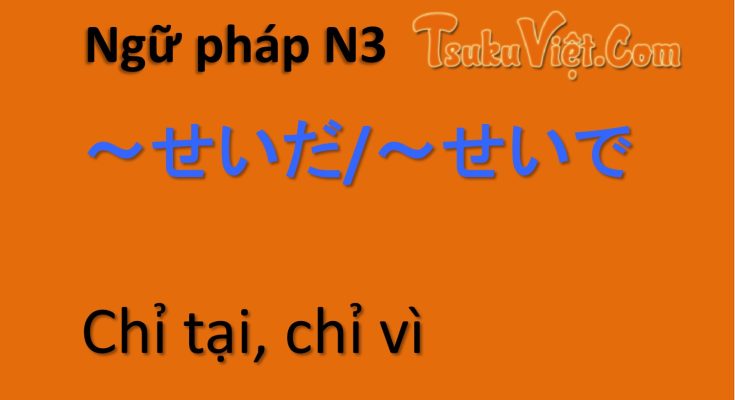 Ngữ pháp N3 ～せいだ/～せいで Chỉ tại, chỉ vì