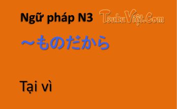 Ngữ pháp N3 ～ものだから Tại vì