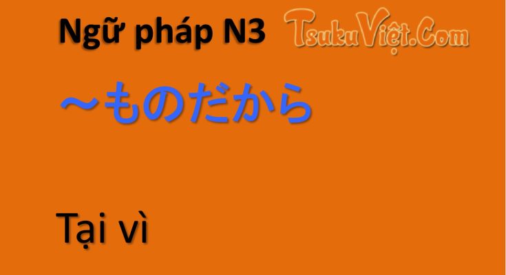 Ngữ pháp N3 ～ものだから Tại vì