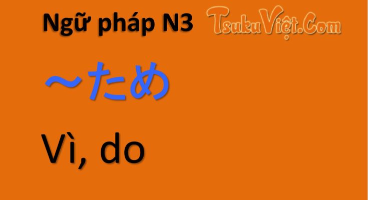 Ngữ pháp N3 ～ため Vì/do