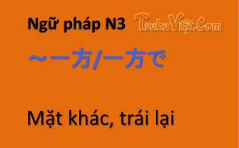 Ngữ pháp N3 ～一方/一方で Mặt khác, trái lại