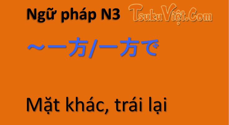 Ngữ pháp N3 ～一方/一方で Mặt khác, trái lại