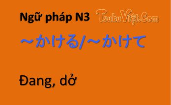 Ngữ pháp N3 ～かける/～かけて... Đang, dở