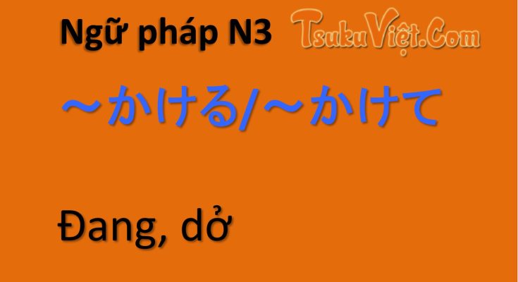 Ngữ pháp N3 ～かける/～かけて... Đang, dở
