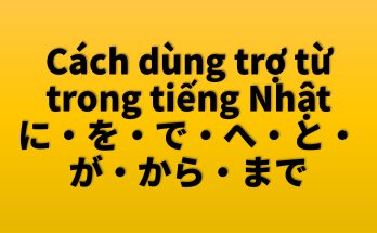 cac dung tro tu trong tieng Nhat