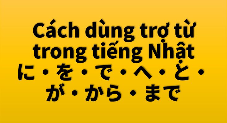 cac dung tro tu trong tieng Nhat